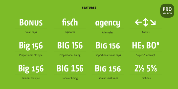 CamingoDos Condensed™