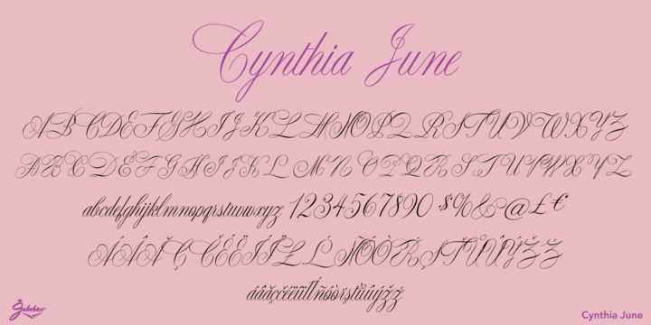 Cynthia June JF