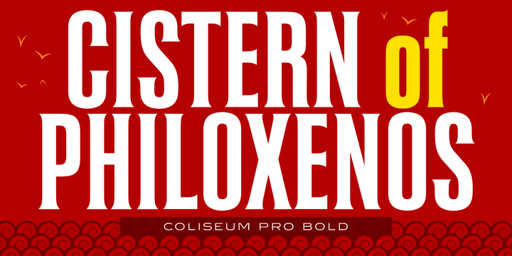 Coliseum Pro™
