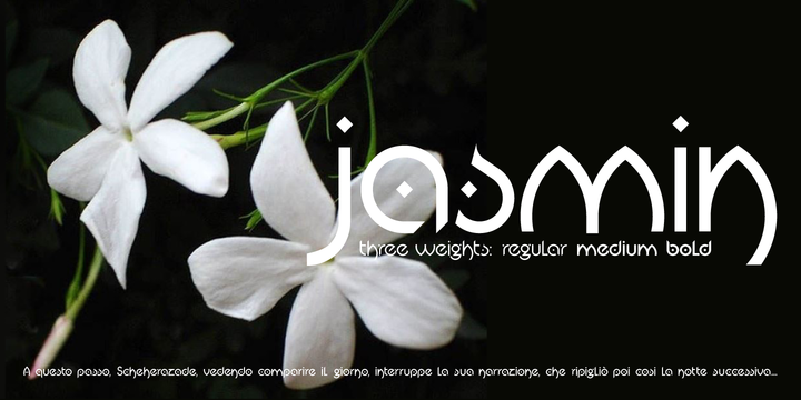 Jasmin