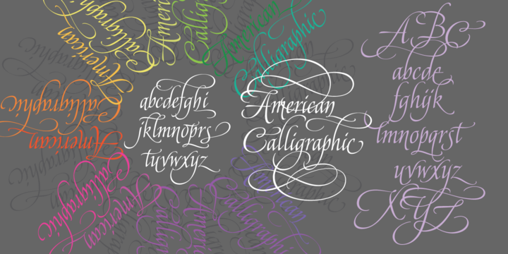 American Calligraphic™