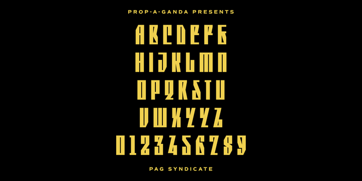 PAG Syndicate
