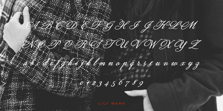 Lily Wang™