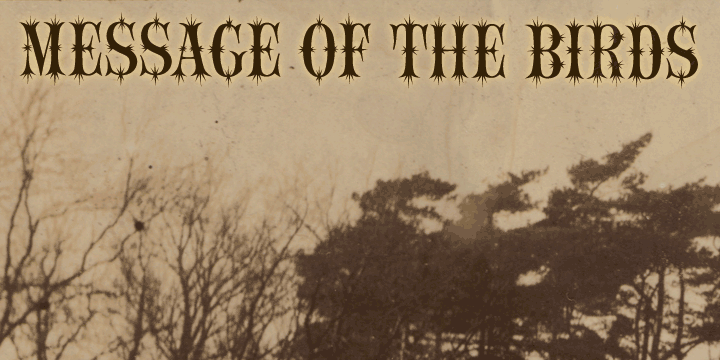 Message Of The Birds™