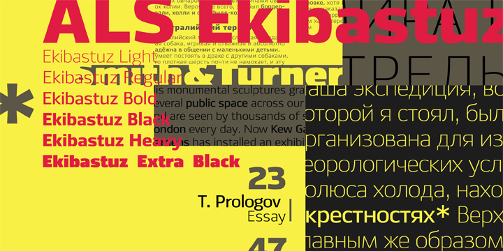 ALS Ekibastuz Font | Webfont & Desktop | MyFonts