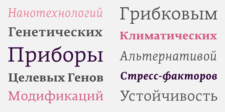 Edit Serif Cyrillic™