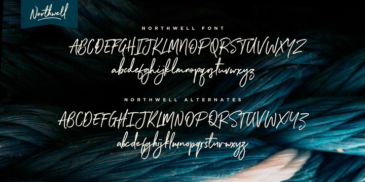 Download northwell font free