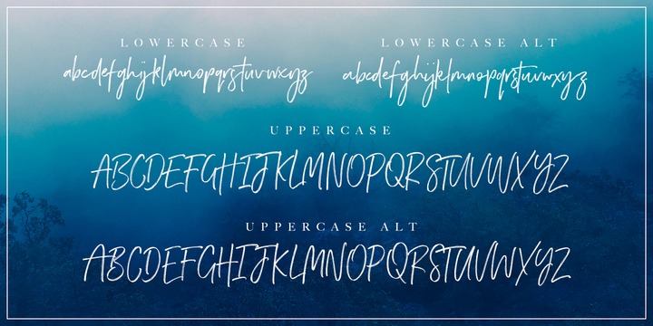 Wild Spirit | Webfont & Desktop font | MyFonts