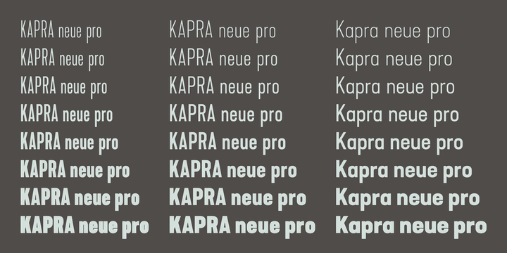 Kapra Neue Pro
