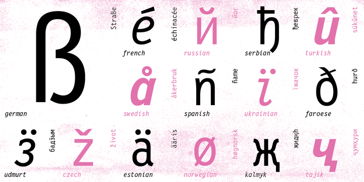 Letter Gothic 12 Pitch