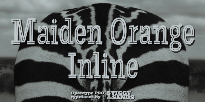 Maiden Orange Inline Pro