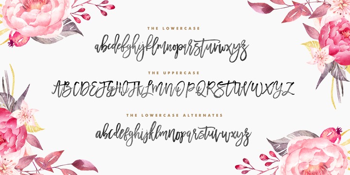 Calligraphy Font Generator Free Download