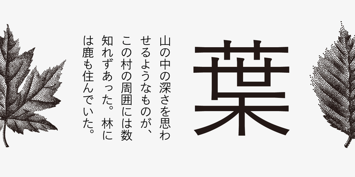 Iwata Gothic Old Std