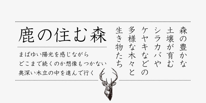 Iwata GKyoukasho Pro