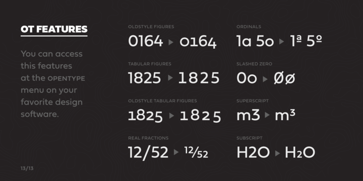 Fieldwork Webfont Desktop Font Myfonts