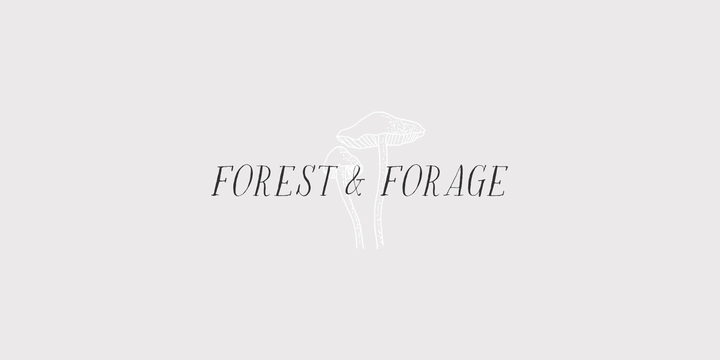 Rare Bird Specimen V