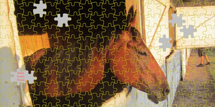 TessiePuzzlePieces™