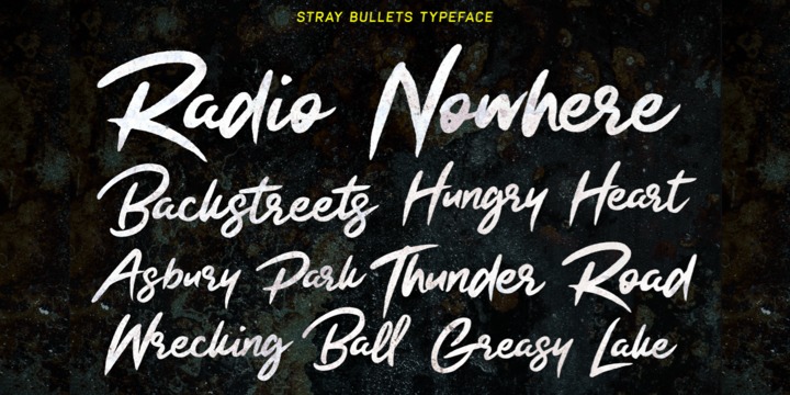 Stray Bullets