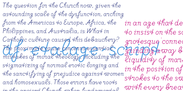 DF Etalage Script™