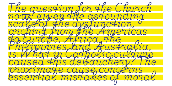 DF Etalage Script™