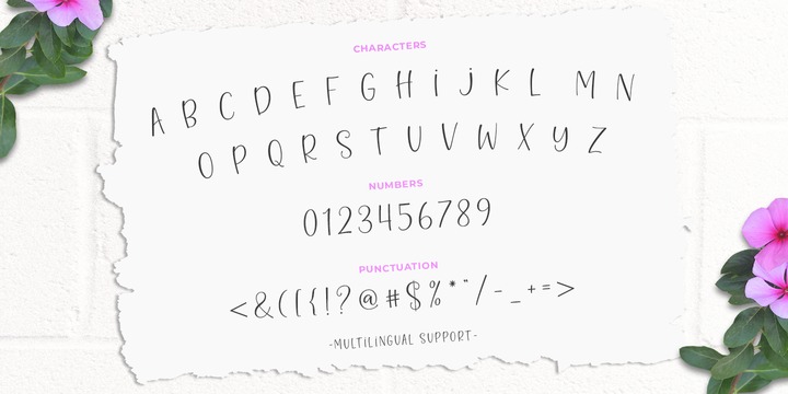 Hello Blushberry Script