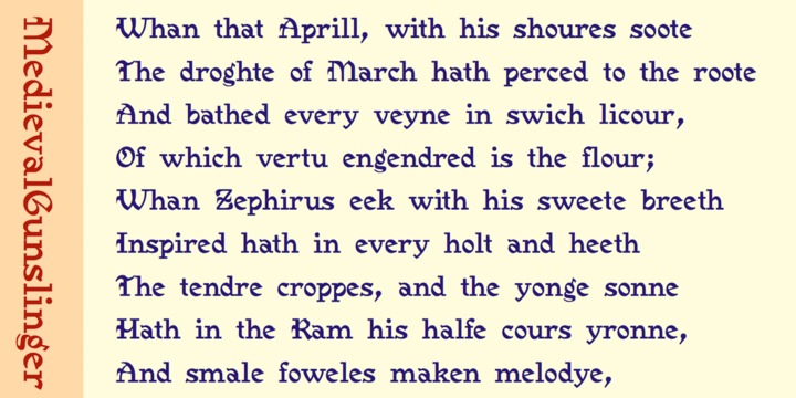 Medieval Gunslinger™