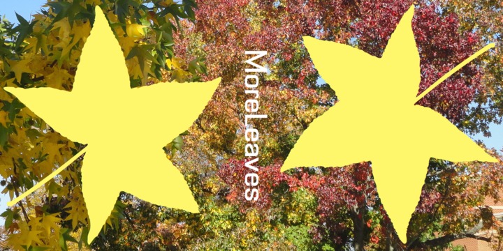 MoreLeaves™