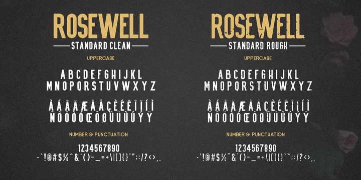 Rosewell Font Collection Font Webfont Desktop Myfonts