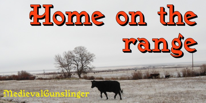 Medieval Gunslinger™