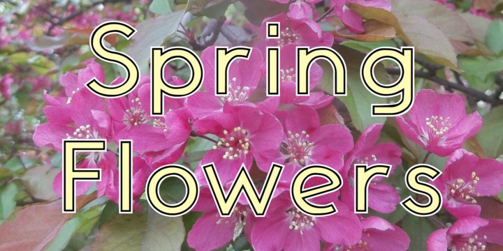 AndrewAndyCollege™