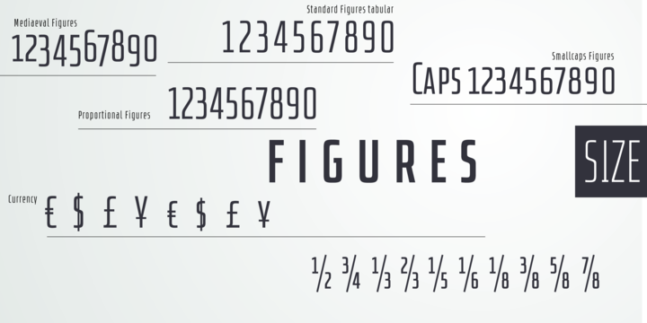 Download Size Font Family From SD Fonts