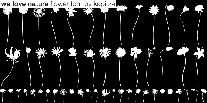 We Love Nature™ Stems