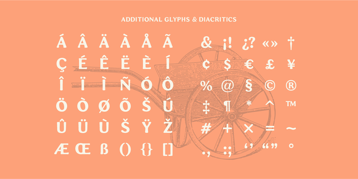 Blt Heirloom Font Webfont Desktop Myfonts