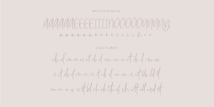 Pamella Font Webfont Desktop Myfonts