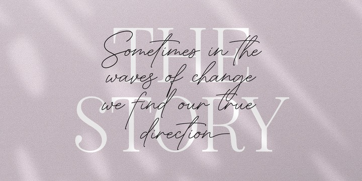 American Favorite Script