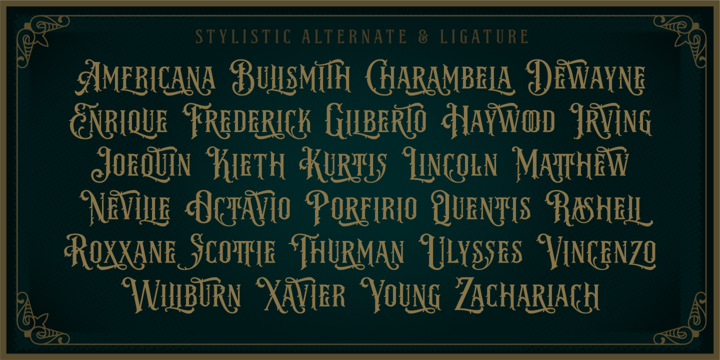 NS Emhericans Vintage 