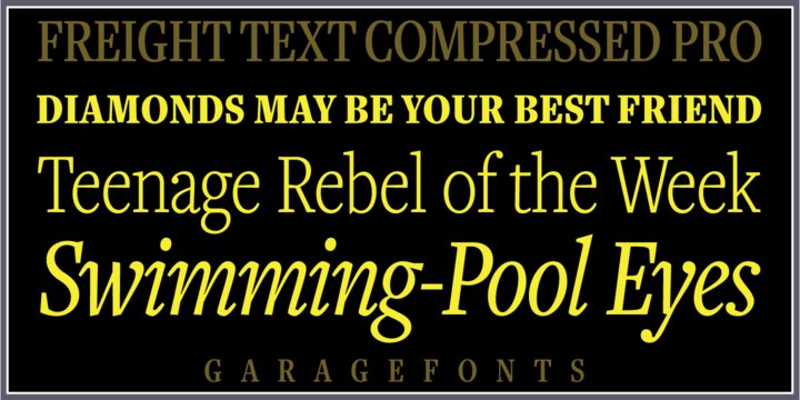 Freight Text Cmp Pro