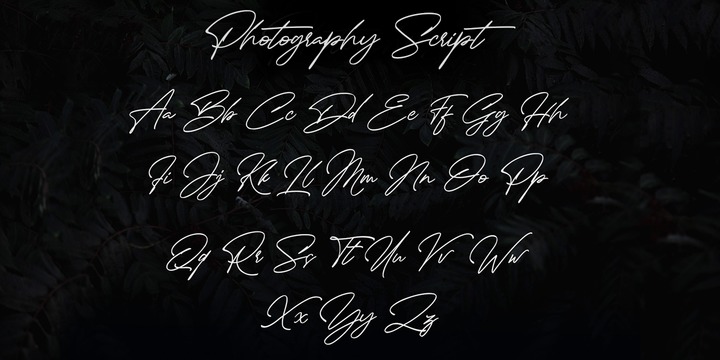 Photography Script Font | Webfont & Desktop | MyFonts