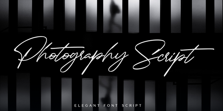 best fonts for photography logos