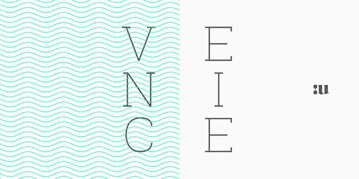 Venice Serif
