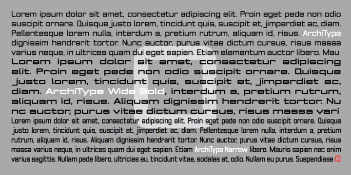 Image of ArchiType Italic Font