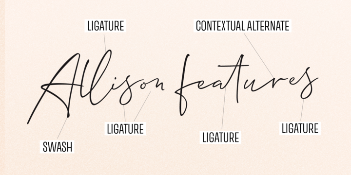 Allison Script