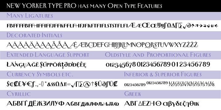 New Yorker Type Pro