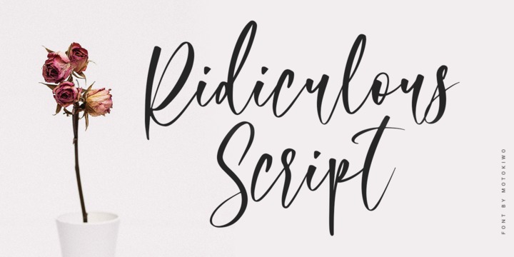 Download Ridiculous Script Fonts Family From Motokiwo