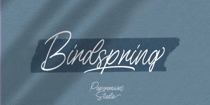 Download Birdspring Signature Fonts Family From Papercrown.std