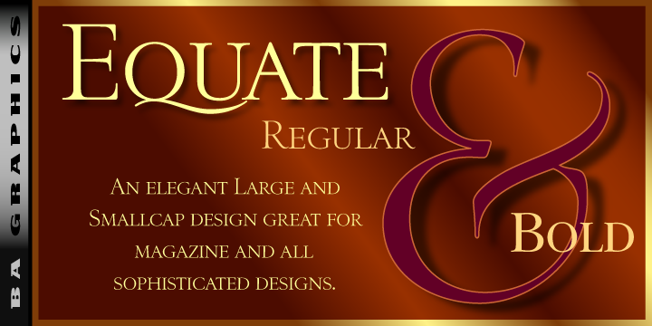 Image of Equate Bold Font