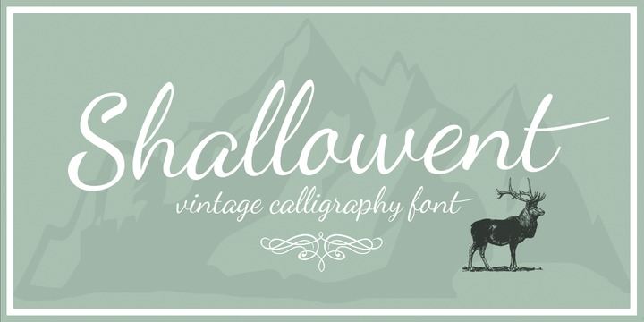 Download Shallowent Script Fonts Family From Youngtype