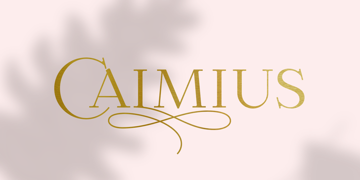 Download Calmius Fonts Family From NREY