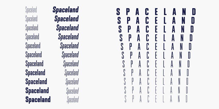 Spaceland