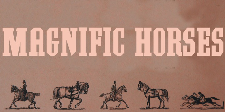 Southern Colonialist